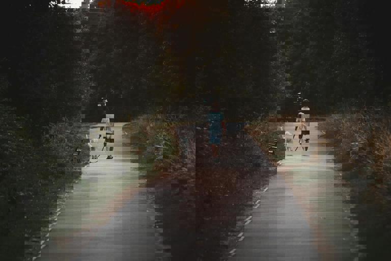 Pet Owners Organize Nightly Dog Meetup in Hidden City Park for Canine Socialization